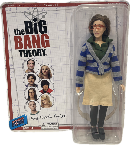 Big Bang Theory Amy Farrah Fowler