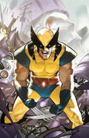 Wolverine: Revenge #1 Pablo Villalobos Full Art Variant