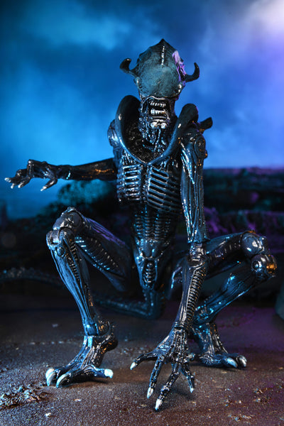 Alien Vs Predator 7″ Scale Action Figure Arachnoid Alien (Movie Deco)