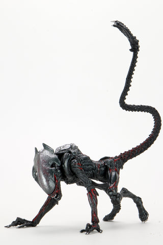 Aliens 7″ Scale Action Figure Kenner Tribute Ultimate Night Cougar Alien