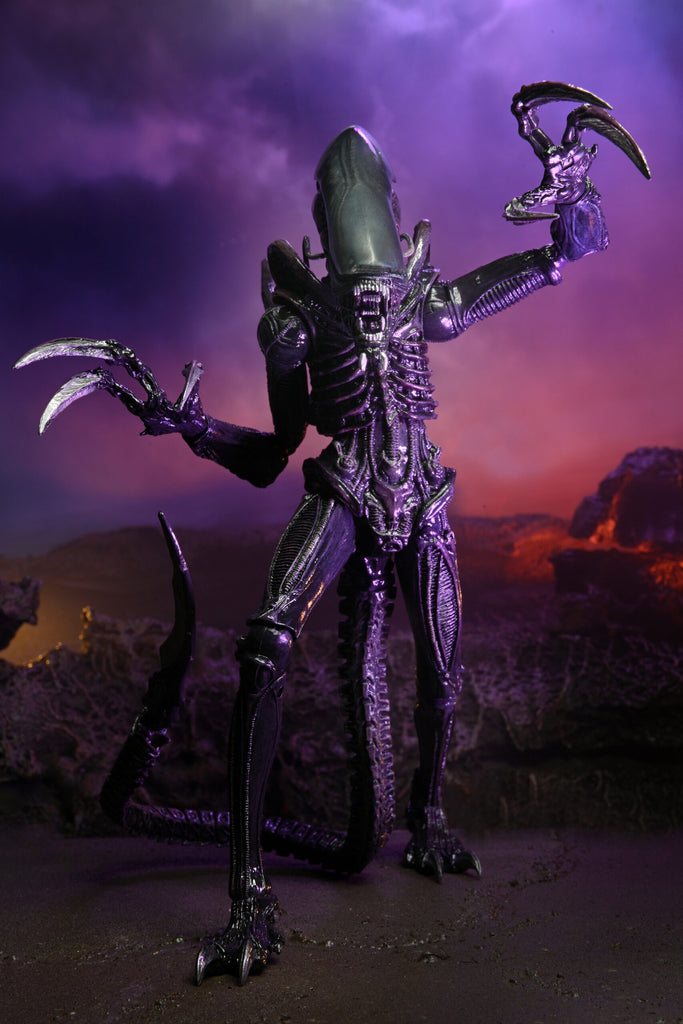 NECA Alien vs Predator (Arcade Appearance) - 7” Scale Action Figures -  Dutch & Linn 2-Pack