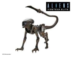 Aliens: Fireteam Elite Runner Alien 7” Scale Action Figures Series 1
