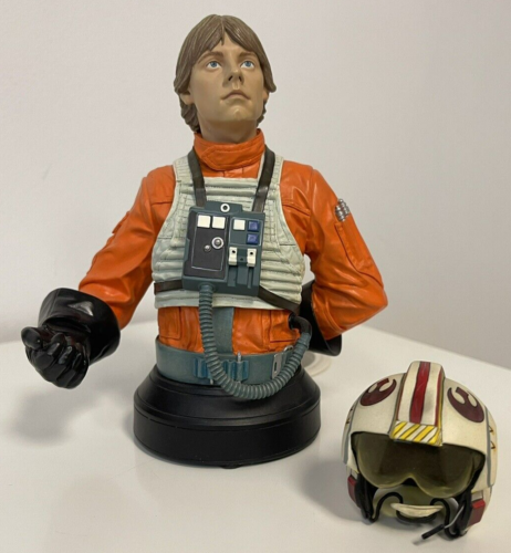 Luke Skywalker In X-Wing Pilot Gear Bust