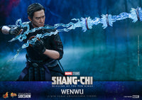 Wenwu Sixth Scale Figure MMS613